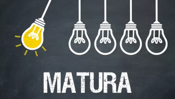 Šolski esej pri slovenščini na splošni maturi - zarnice matura - Ekonomska šola Ljubljana