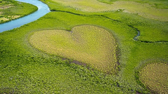 Projektni dan ob svetovnem dnevu Zemlje - heart 7902540 640 - Ekonomska šola Ljubljana