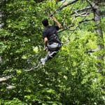 Tretji športni dan na Prešernovi – dan poln gibanja in zabave - 20250527 091840753 iOS - Ekonomska šola Ljubljana