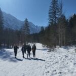 Gibanje povezuje: drugi športni dan - IMG 20260305 113451 - Ekonomska šola Ljubljana