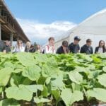 Obisk kmetije Dovč v okviru projekta Šolski ekovrtovi - Ekonomska šola Ljubljana Obisk kmetije Dovč v okviru projekta Šolski ekovrtovi - 1780304328899 - Ekonomska šola Ljubljana