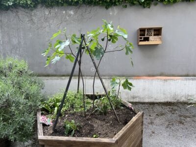 Ekošola - Ekonomska šola Ljubljana Ekošola - ekosola 9 - Ekonomska šola Ljubljana