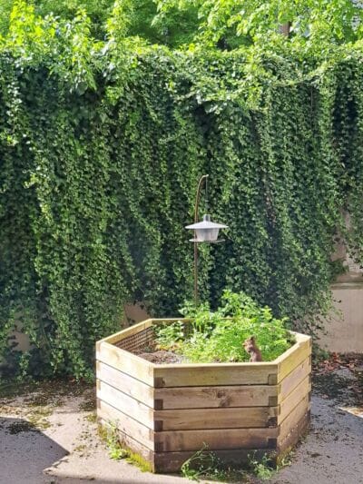 Šolski ekovrtovi - Ekonomska šola Ljubljana Šolski ekovrtovi - solski ekovrtovi 13 - Ekonomska šola Ljubljana