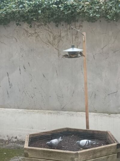 Šolski ekovrtovi - Ekonomska šola Ljubljana Šolski ekovrtovi - solski ekovrtovi 8 - Ekonomska šola Ljubljana